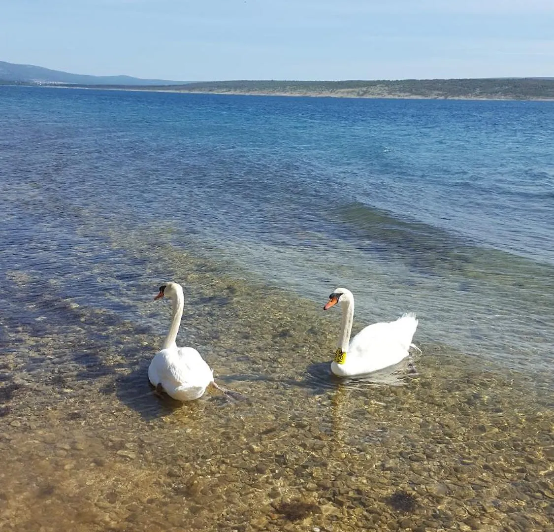 יסניצה Beachfront House Nella With Full Privacy 0*,  קרואטיה